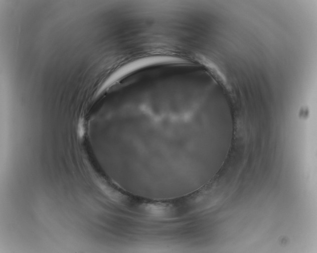 X0000092060069200709121402