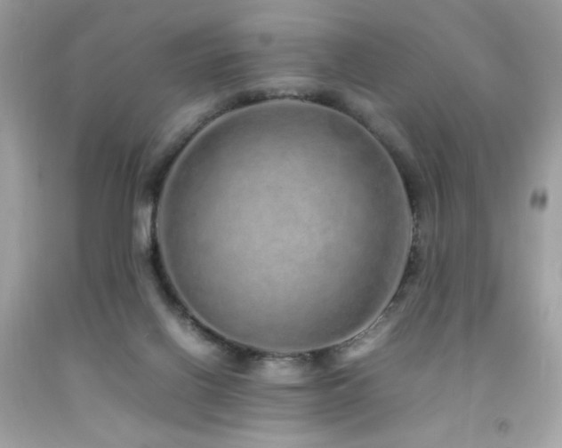 X0000092060070200709121402