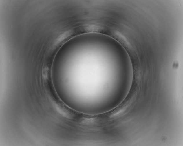 X0000092060071200709121402