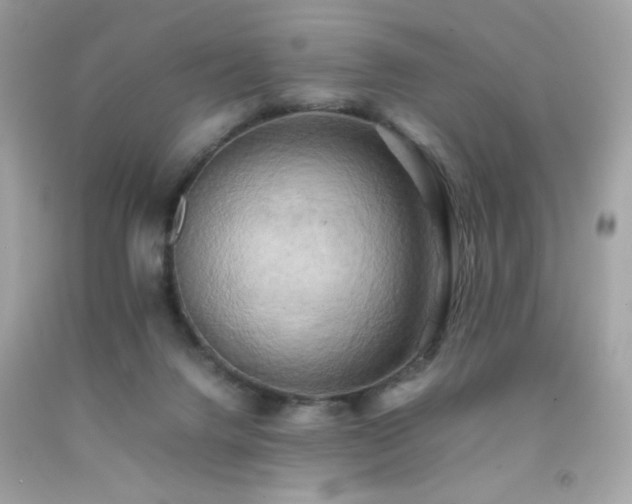 X0000092060072200709121402