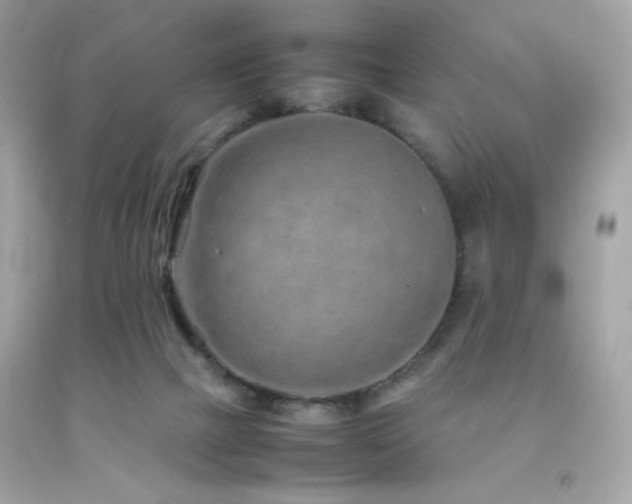 X0000092060073200709121402