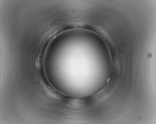 X0000092060074200709121402