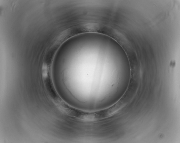 X0000092060075200709121402