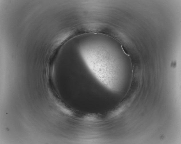 X0000092060076200709121402