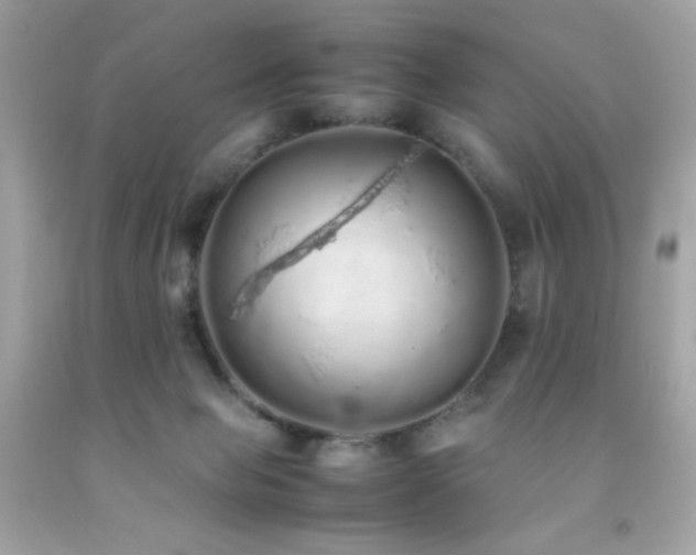 X0000092060077200709121402