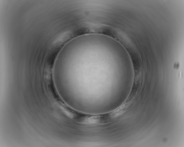 X0000092060078200709121402