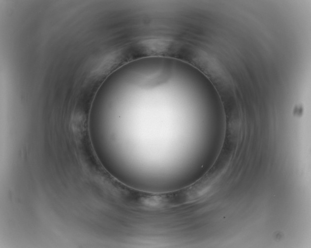 X0000092060079200709121402