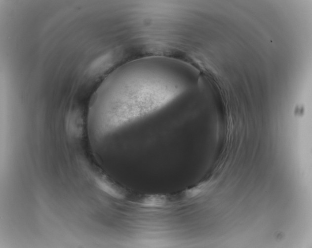 X0000092060080200709121402