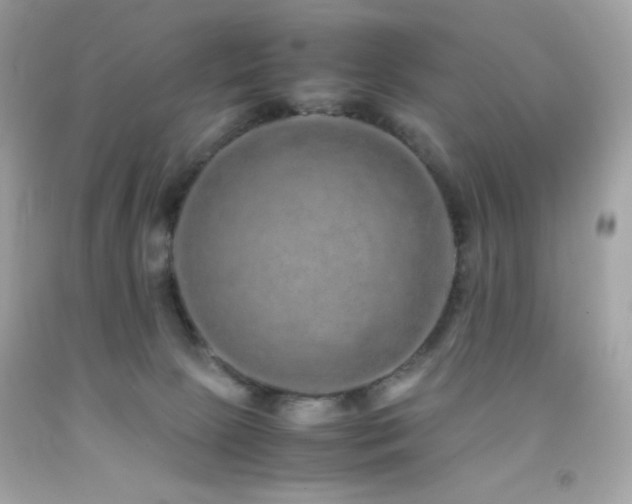 X0000092060081200709121402