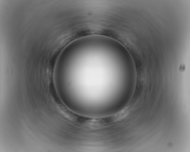 X0000092060082200709121402