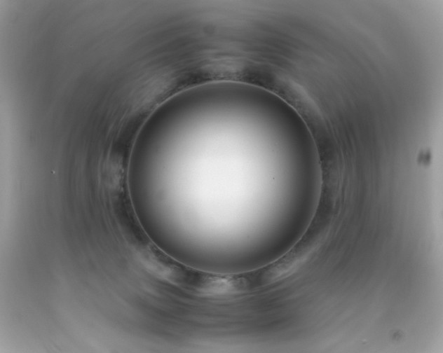 X0000092060083200709121402