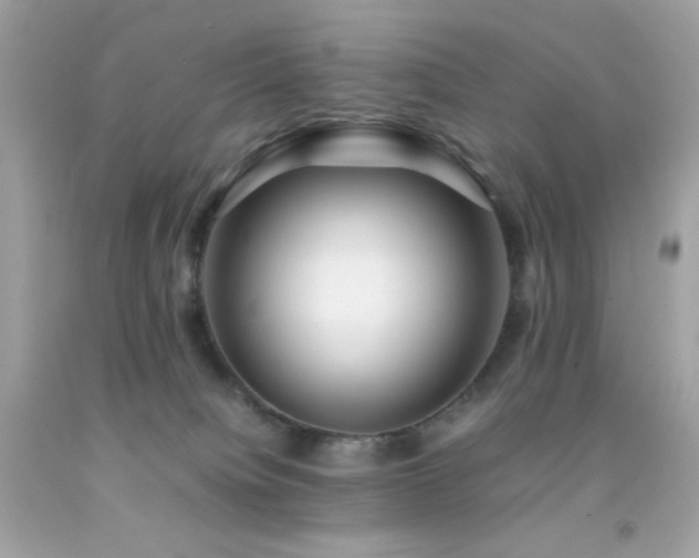 X0000092060084200709121402