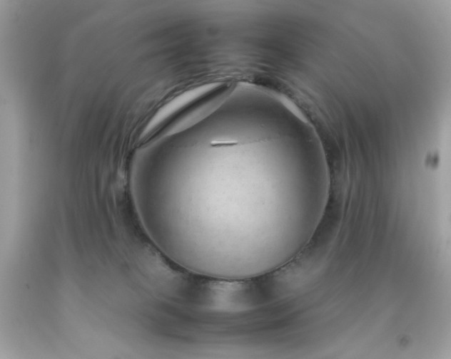 X0000092060085200709121402