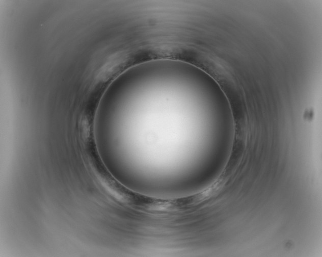 X0000092060086200709121402