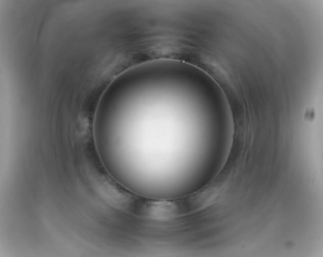 X0000092060087200709121402