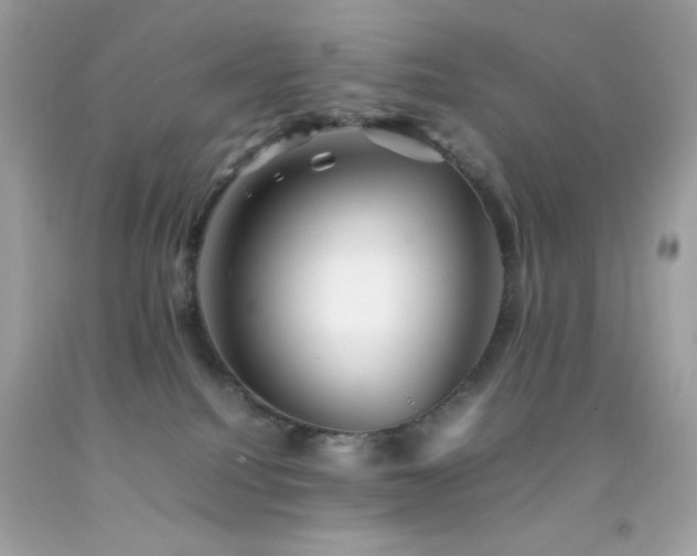 X0000092060088200709121402