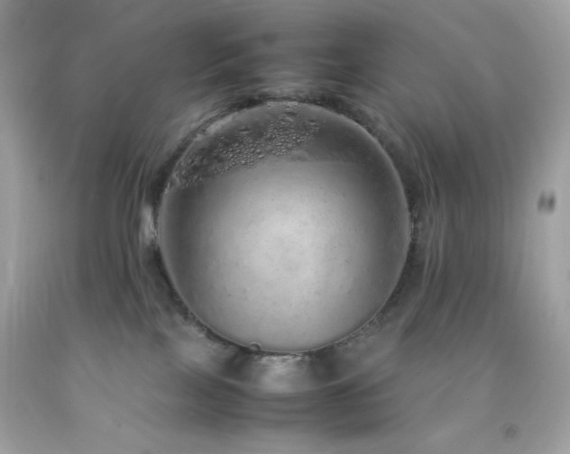 X0000092060089200709121402