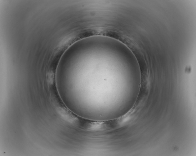 X0000092060090200709121402