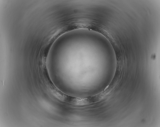 X0000092060093200709121402