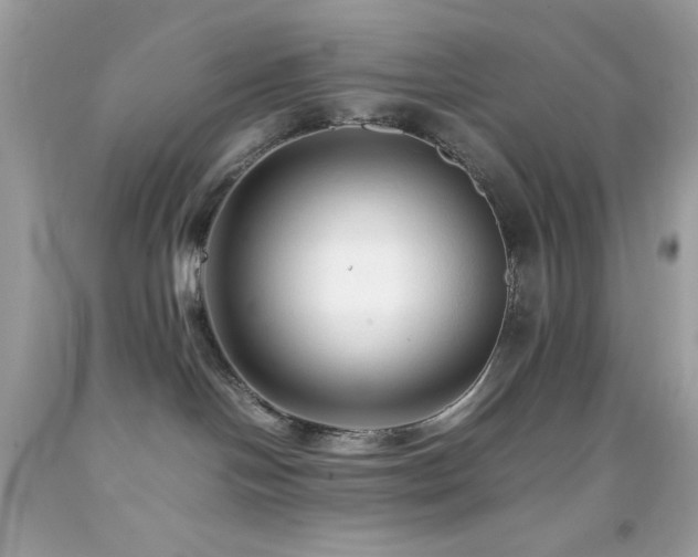 X0000092060094200709121402