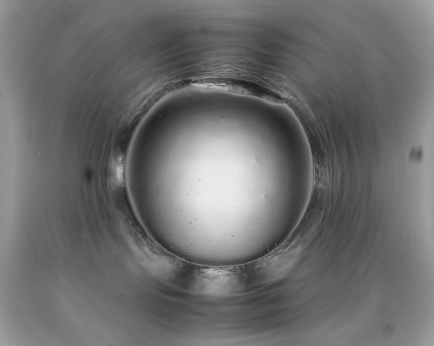 X0000092060095200709121402