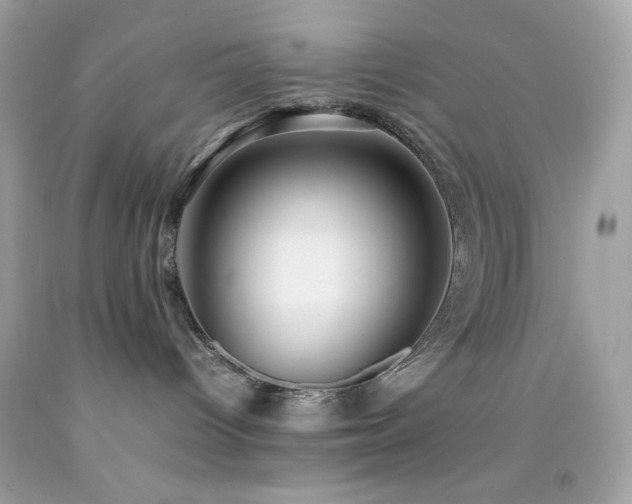 X0000092060096200709121402