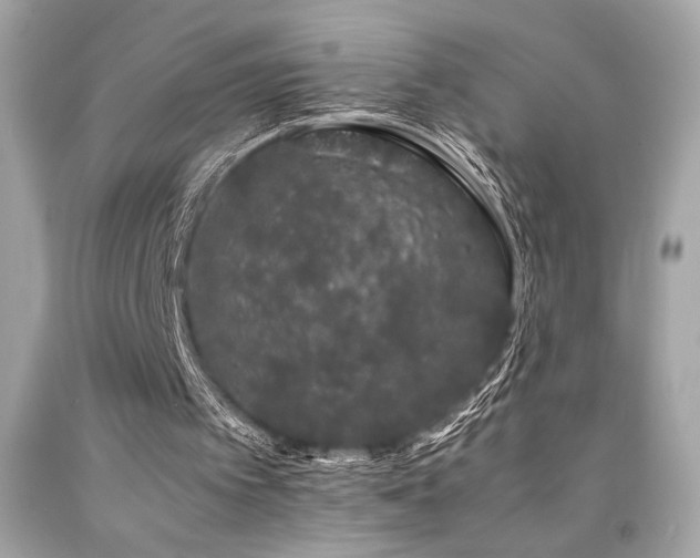 X0000092060097200709121402