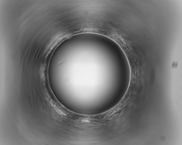 X0000092060098200709121402