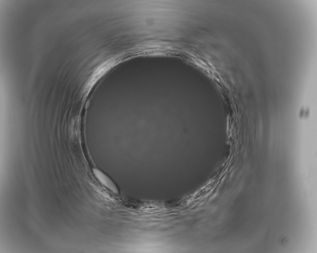 X0000092060099200709121402