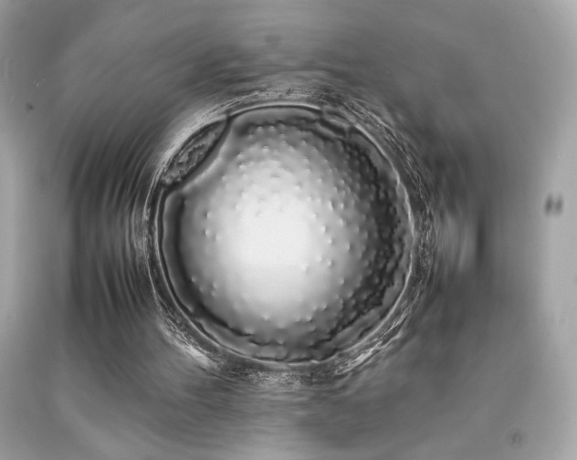 X0000092060100200709121402