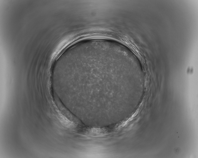 X0000092060101200709121402