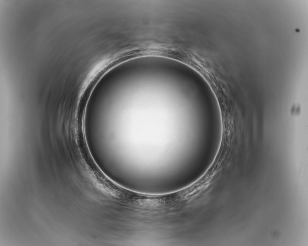 X0000092060102200709121402