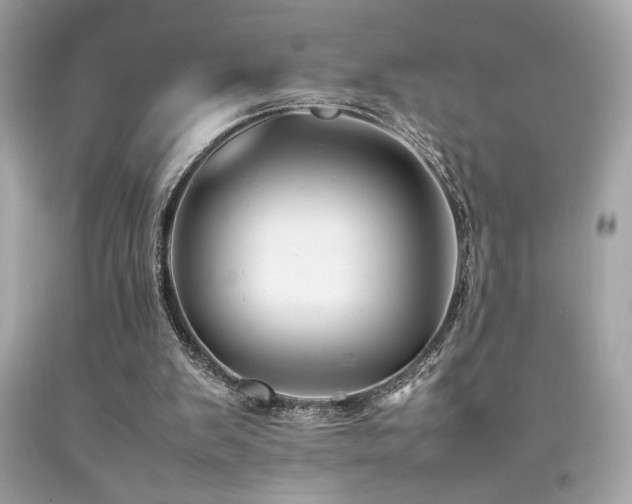 X0000092060103200709121402