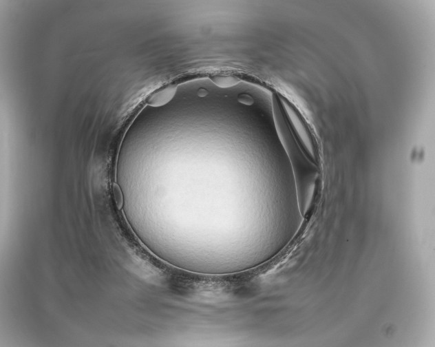 X0000092060105200709121402