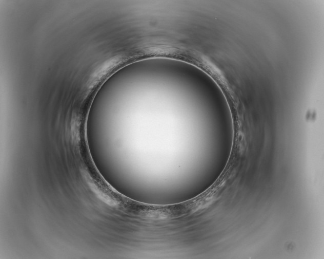 X0000092060106200709121402