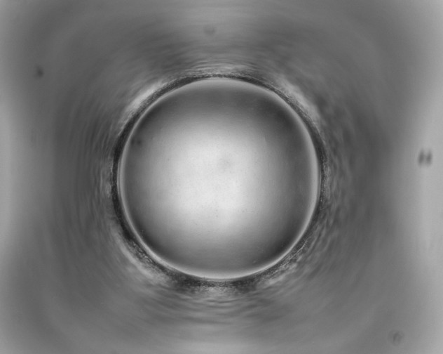 X0000092060107200709121402