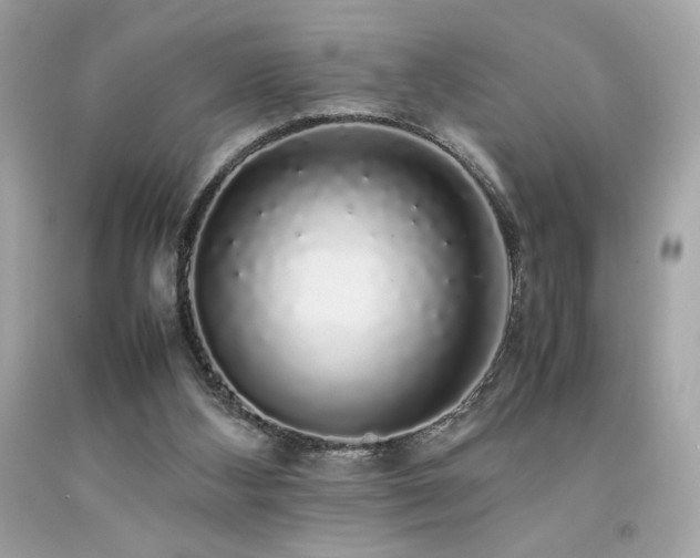 X0000092060108200709121402