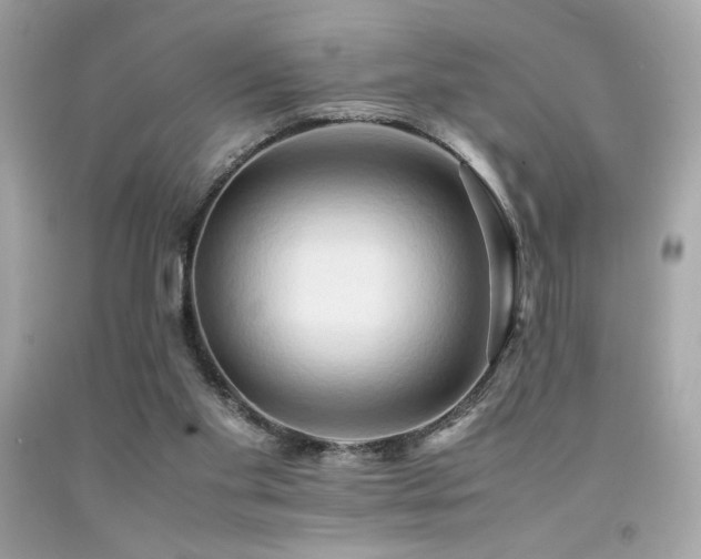 X0000092060109200709121402