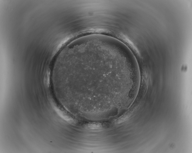 X0000092060110200709121402