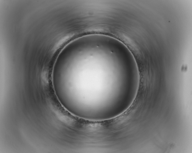 X0000092060112200709121402