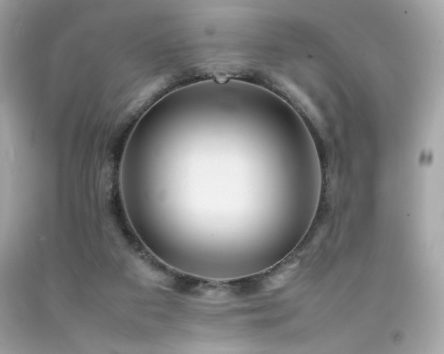 X0000092060113200709121402