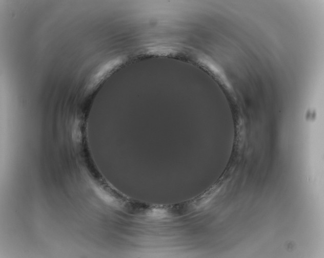 X0000092060114200709121402