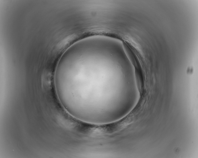 X0000092060115200709121402