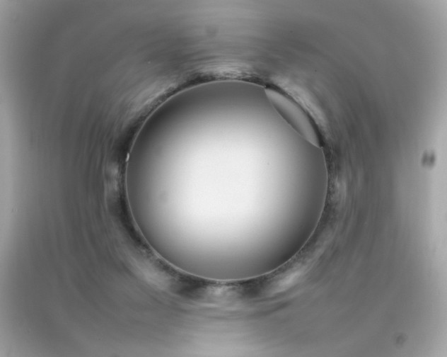 X0000092060117200709121402