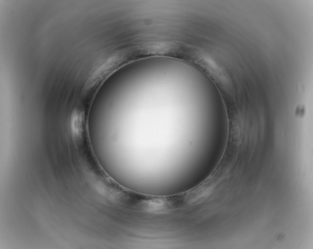 X0000092060118200709121402