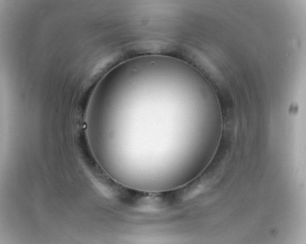 X0000092060119200709121402