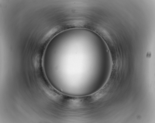 X0000092060120200709121402