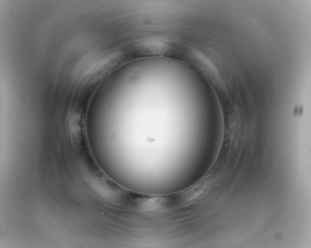 X0000092060122200709121402