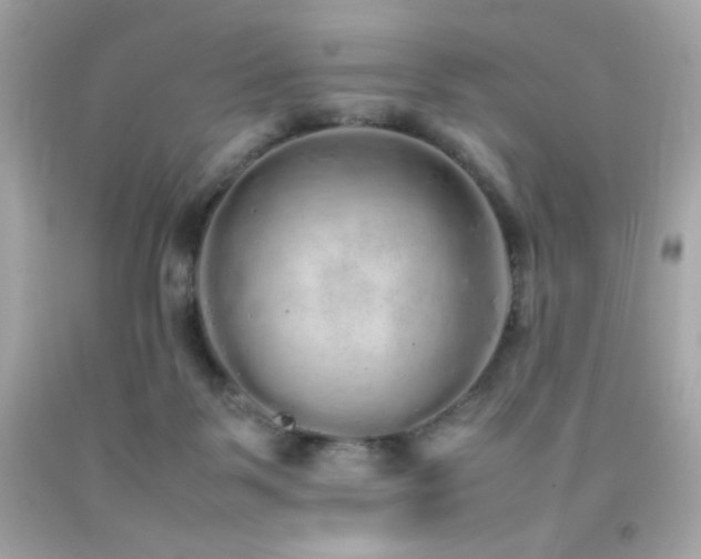 X0000092060123200709121402