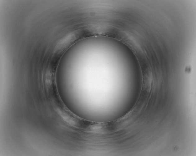 X0000092060126200709121402